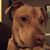 Karen Haley Colston's profile image