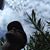 Joseph Ortiz's profile image
