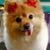 JoJo Sisto's profile image
