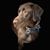 Jennifer Bostic Marquardt's profile image