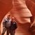 Chris Craig-Koteles's profile image