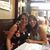 Diane Giaquinto's profile image
