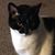 Rhonda Berge's profile image