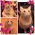Rose Devita-Sisilli's profile image
