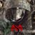 Jessy Jackson's profile image