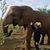 Tiffany Greathouse-Ward's profile image