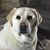 Brenda Christian Nowlen's profile image
