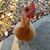 Rhonda R Roman's profile image