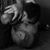Christopher Doner's profile image