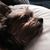 Sandra Antonucci Padgett's profile image