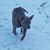 Brittany Liming's profile image