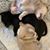 Cindy Latino-Keeler's profile image