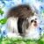 Tallulah Ann's profile image