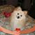 Migna Scott's profile image