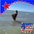 Tucker Cook's profile image
