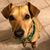 Karen Osborn's profile image