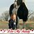 DeeDra Lynn Poitra's profile image