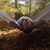 Karol Maslinski's profile image