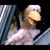 Antonio Castillo's profile image
