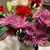 Darlene Oliver's profile image