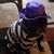 Mike Grasse's profile image