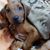 Bobbi Westman's profile image