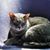 Leigh Ann Jackson's profile image