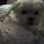 Michelle Nulle's profile image