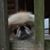 Debbie Kerns Reep's profile image