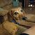Betty Smith Yates's profile image