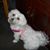 Kelly Gee's profile image