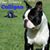Ashlee D White's profile image
