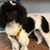 Cindy Schlink's profile image