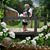 Patricia Brooks's profile image