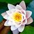 Terri Torpin's profile image