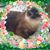 Jeena Miner's profile image
