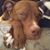 Timothy E Coale's profile image