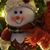 Deb Howe Mammone's profile image
