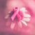 Michele Strouse Lardi's profile image