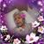 David N Lisa Sanchez's profile image