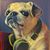 Andrew Montgomery's profile image