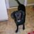 Brittani Bentz's profile image