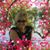 Mary Ellen's profile image