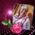 Betty Robbins Howard's profile image