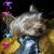 Sandy Schumaker's profile image