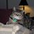Mike Mehring's profile image