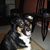 Eliot Finkel's profile image