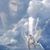 Peggy Martin Allen's profile image