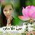 Ngoc Hiep Ngoc Hiep's profile image