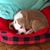 Gina DiGregorio's profile image